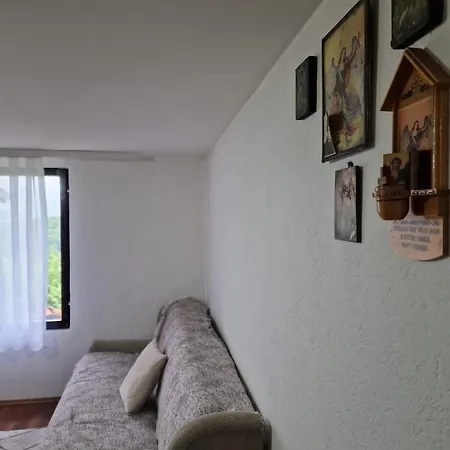 Domacinstvo Ristovic