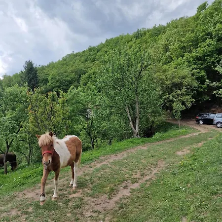بيت للعطل Domacinstvo Ristovic Banovo Polje