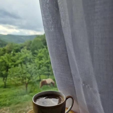 Domacinstvo Ristovic *