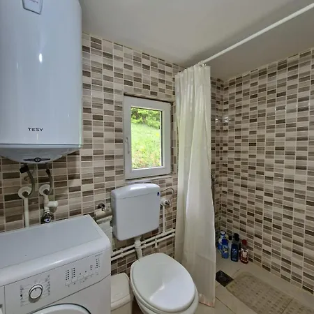 Domacinstvo Ristovic