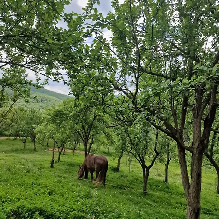 بيت للعطل Domacinstvo Ristovic *