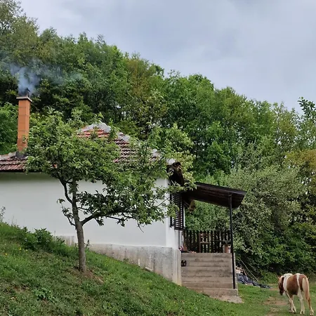 Domacinstvo Ristovic *