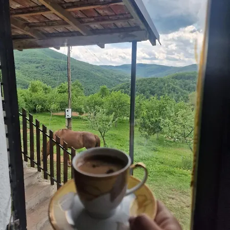 بيت للعطل Domacinstvo Ristovic