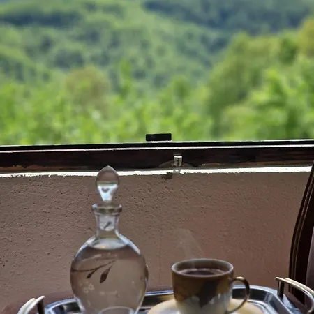 Domacinstvo Ristovic بيت للعطل Banovo Polje