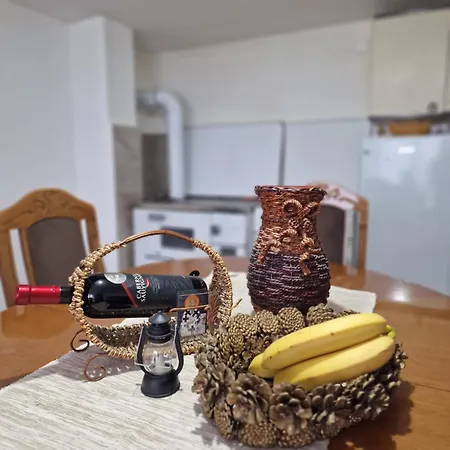 Domacinstvo Ristovic