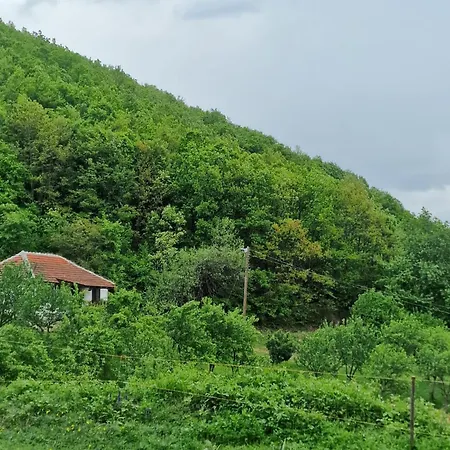 Domacinstvo Ristovic Holiday home