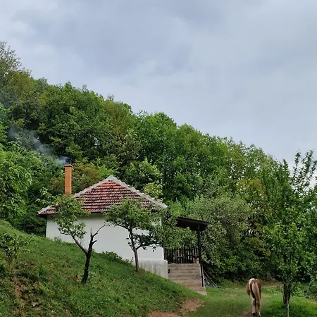 Domacinstvo Ristovic