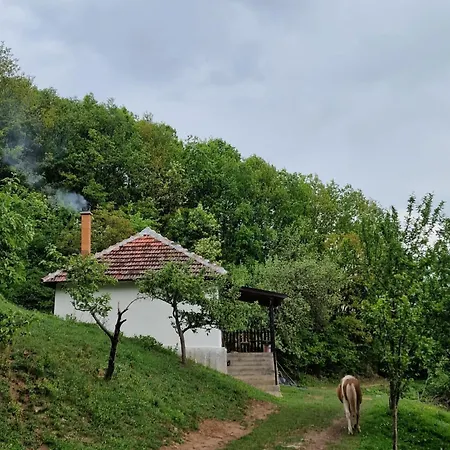 Holiday home Domacinstvo Ristovic *